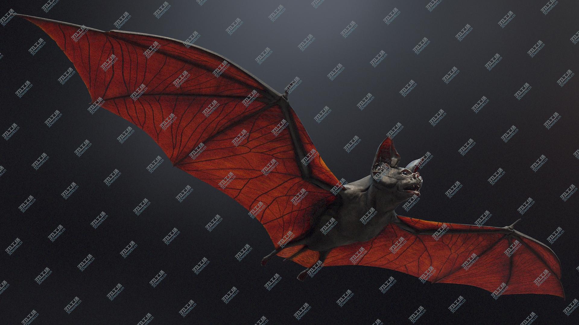 images/goods_img/2021040232/Vampire Bat/5.jpg